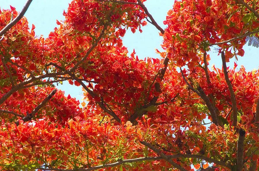 OgAAAJkXAy1FwYNwLMppyIeA-8cV2TaX8W6MMbr0EZY07oGJCpIybzcQje4WV-j1sSyjuVmy7Z19NgJPMbkFrnhVH-wAm1T1UNmCDSkPmnSZrVjwlUj9oCmV-8UIMoveCopyMoveCopy